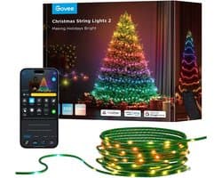 Govee Christmas Sparkle String Lights